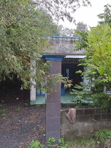 Đất nền Củ Chi 279m² giá 2 tỷ - Cơ hội đầu tư tuyệt vời!