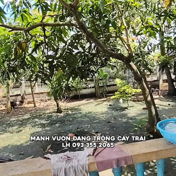 Nhà vườn mặt tiền Quốc lộ 50, xã Vĩnh Bình, 715m² giá chỉ 4.5 tỷ - Đầu tư sinh lời!