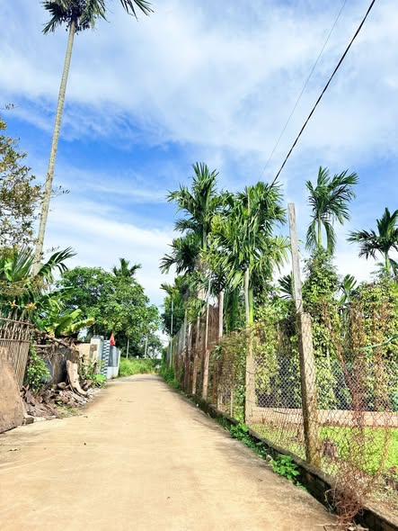 Đất thổ cư hẻm Thế Lữ Tân Hòa 120m² giá 1.45 tỷ - Đầu tư sinh lời ngay!