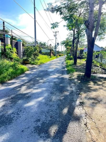 Đất thổ cư mặt tiền đường Ao Gòn, Tân Lân, Cần Đước 120m² - Giá chỉ 950 triệu!