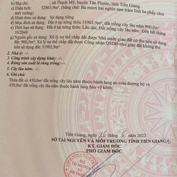 Bán đất vườn 3,3 mẫu tại Thạnh Mỹ, Tân Phước, Tiền Giang - Cơ hội đầu tư tuyệt vời!