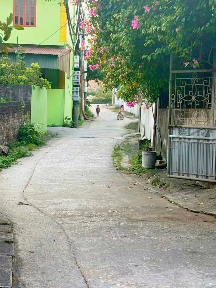 Đất nền Hưng Yên 81.8m² giá 1 tỷ - Cơ hội đầu tư hấp dẫn!