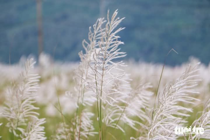 Đất nền Hòa Quý, Ngũ Hành Sơn, Đà Nẵng 120m² - Đầu tư sinh lời cực cao!