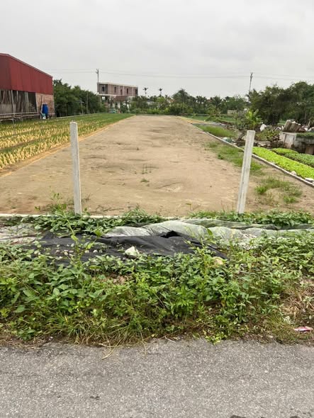 Đất ven biển Hải Hòa, Nam Định 491m² giá mềm - Đầu tư lý tưởng!