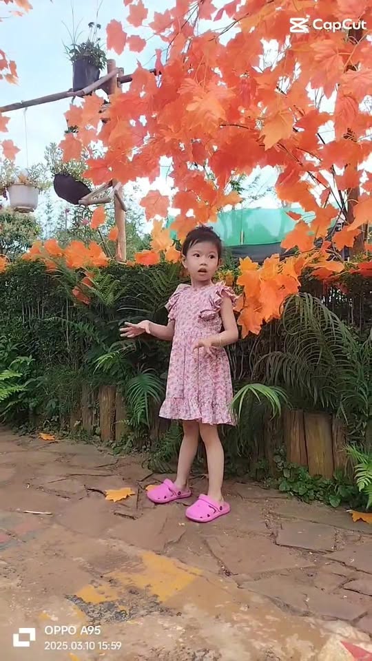 Nhà hẻm Mai Hắc Đế, Buôn Ma Thuột 100m² giá chỉ 2.68 tỷ - Thiết kế hợp lý, không gian thoáng mát!