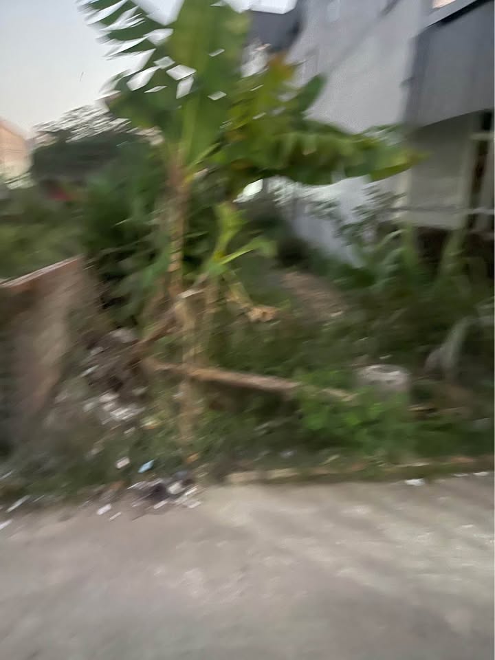 Đất nền đẹp tại Mai Đình, Sóc Sơn, Hà Nội - 120m², vị trí đắc địa, tiềm năng sinh lời!