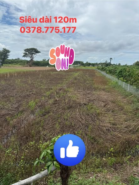 Đất nền Nhơn Hội - An Giang 1800m² giá 1.53 tỷ - Đầu tư sinh lời hấp dẫn!