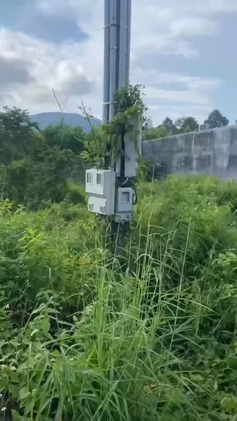 Đất Thị trấn Xuân Lộc 125m² giá 1.25 tỷ - Vị trí mặt tiền đường Nguyễn Huệ