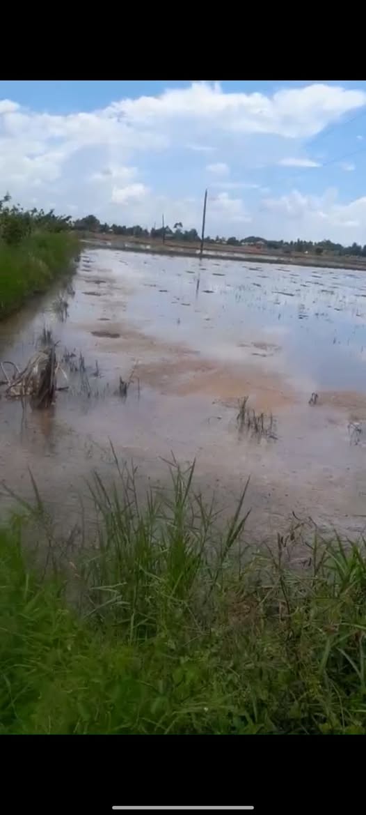 Đất nền 12600m² tại Mỹ Lạc, Thủ Thừa Long An giá chỉ 892.5 triệu - Đầu tư sinh lời ngay!