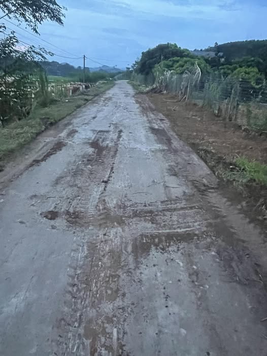 Lô đất 150m² tại Đoàn Kết, Phú Bình - Vị trí đẹp, thuận lợi cho đầu tư!