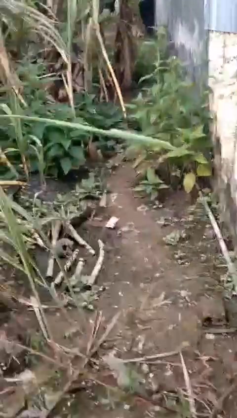 Đất nền chính chủ Ngã Bảy 125m² giá 500 triệu - Đầu tư sinh lời ngay!