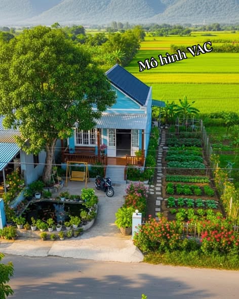 Đất vườn mặt tiền đường Trần Văn Ẩn, Long Đức, 1000m² - Giá 900 triệu, thương lượng nhẹ!