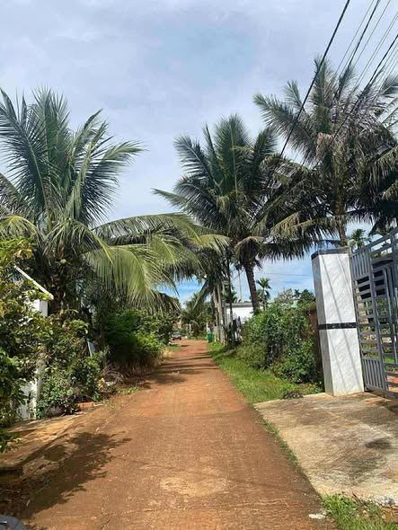 Đất nền liền kề Ngô Quyền, Quảng Phú, Cư M'gar 160m² chỉ 920 triệu - Sổ đỏ chính chủ!