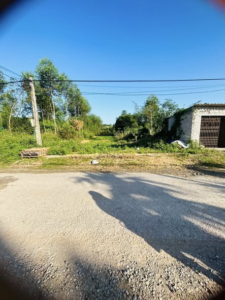 Đất nền mặt tiền tại Lan Mẫu, Lục Nam, 252m² - Kinh doanh ngay với giá tốt!