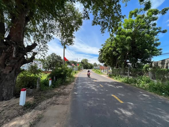 Đất mặt tiền 715 Mũi Né 1000m² giá chỉ 4 tỷ - Đầu tư sinh lời ngay!