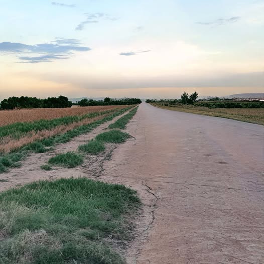 Đất nền mặt tiền đường bê tông 30m, xã Tân Hà, 2900m² - Cơ hội đầu tư lý tưởng!