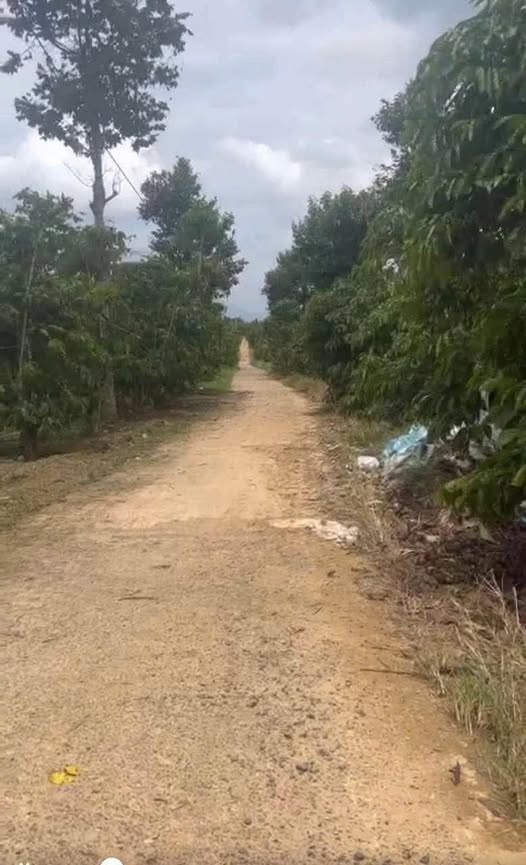 Đất nền Lộc Đức Bảo Lâm 1.1ha giá 1.25 tỷ - Cơ hội đầu tư tuyệt vời!