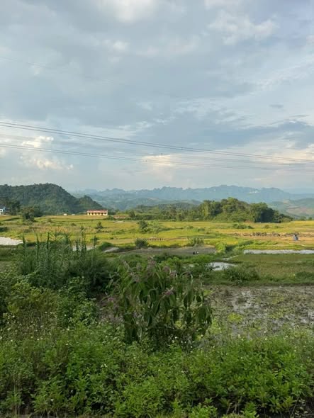 Đất nền Tân Lạc Hòa Bình 1000m² giá chỉ 299 triệu - Cơ hội đầu tư hấp dẫn!
