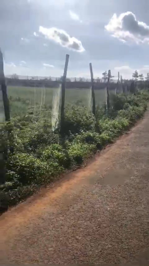 Đất Nền Cư Bao Buôn Hồ 19.440m² giá 2.7 tỷ - Mặt tiền đường nhựa, vị trí đắc địa!