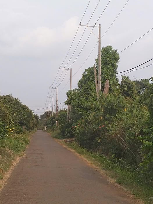 Đất nền xã Xuân Thành, huyện Xuân Lộc, 9916m² chỉ 499 triệu - Cơ hội đầu tư tuyệt vời!