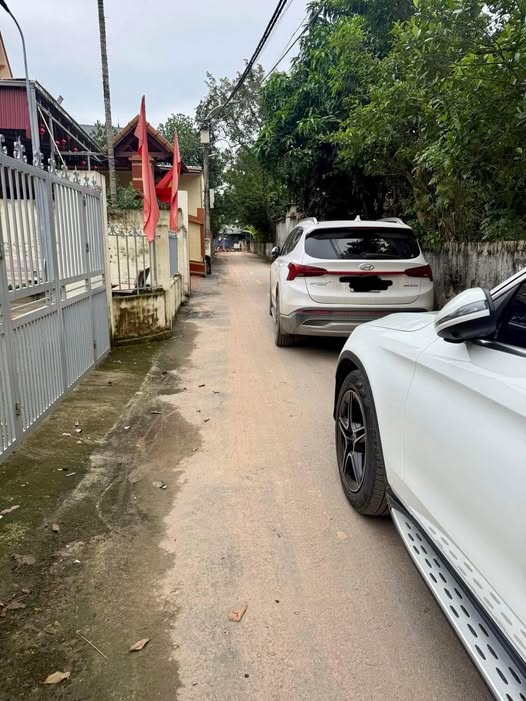 Đất nền Hát Môn - 100m², mặt tiền 5m, đầu tư sinh lời