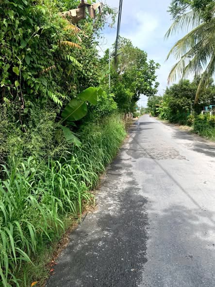 Đất nền mặt tiền huyện lộ 79, Mỹ Lợi A, Cái Bè, 200m² - Giá chỉ 1 tỷ thương lượng!