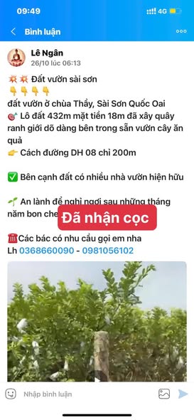 Đất vườn Sài Sơn 432m² - Cơ hội đầu tư sinh lời cao