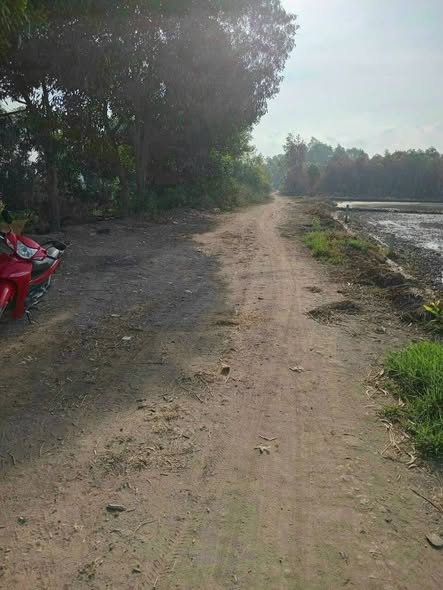 Đất vườn Tân Thạnh Đông Củ Chi 500m² giá 1.15 tỷ - Đầu tư sinh lời ngay!