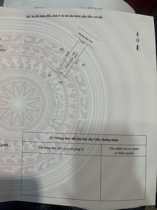 Đất nền đường nhựa 10m tại Long Hoa, Hòa Thành 420m² - Giá chỉ từ 1xx triệu!