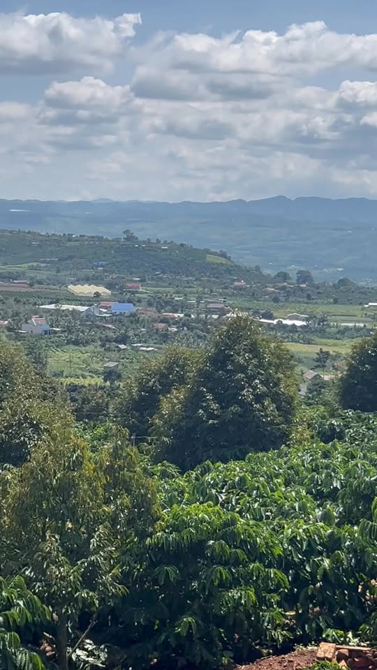 Đất nền Lâm Hà 1,1 hecta giá 5,2 tỷ - Cơ hội đầu tư lý tưởng!