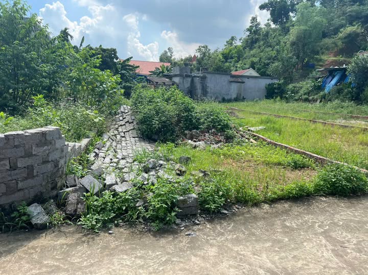 Đất nền Quảng Thanh, Thủy Nguyên 133.8m² giá 1.338 tỷ - Đầu tư sinh lời nhanh chóng!