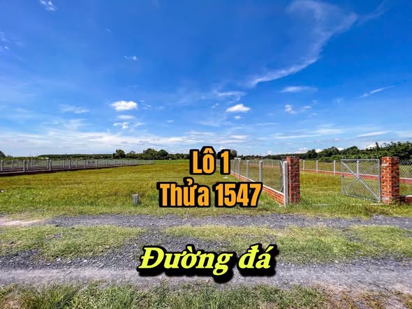 Đất thổ cư Bến Cầu Tây Ninh 250m² giá 280 triệu - Cơ hội đầu tư hấp dẫn!