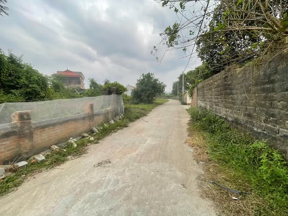 Đất nền xã Danh Thắng 150m² - Sổ đỏ chính chủ, giá tốt cho nhà đầu tư!