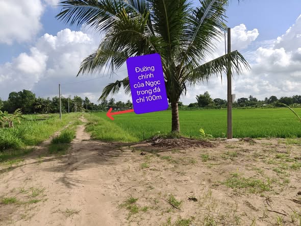 Farm 7 công 5, mặt tiền đường Ngọc Trong Đá, 3.5 tỷ - Cơ hội đầu tư tuyệt vời!