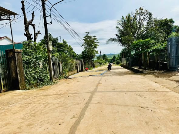 Đất nền mặt tiền đường Bùi Đình Tuý, Pleiku 160m² giá 1.3 tỷ - Đầu tư sinh lời ngay!