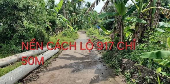 Đất nền thổ cư Phong Điền 128m² giá 400 triệu - Đầu tư sinh lời hấp dẫn!