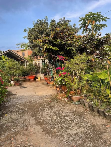 Đất nền Trà Nóc 68m² giá 300 triệu - Chính chủ giao dịch ngay!