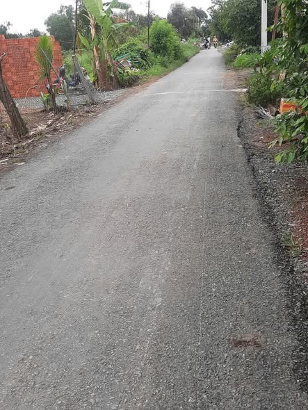 Đất thổ cư Bình An Thủ Thừa 1005m² giá 2.4 tỷ - Đường nhựa ô tô vào tận nơi!