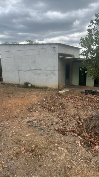 Lô rẫy 800m² tại xã Ea Wer, Buôn Đôn - Đường ô tô vào tận nơi!