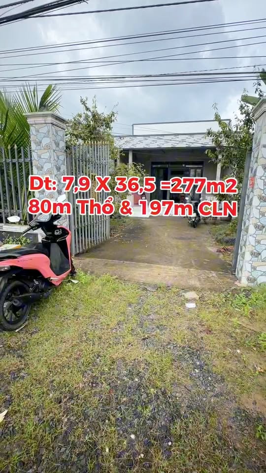 Nhà bán gấp Ấp Đông Lợi, Hậu Giang 277m² giá 1.3 tỷ - Tiện kinh doanh