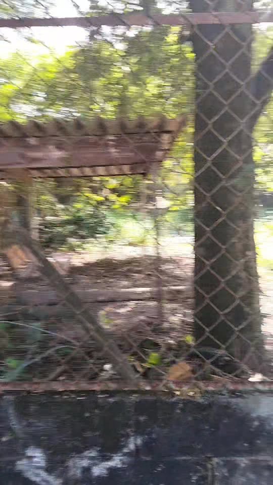 Đất nền Tân Hiệp Hóc Môn 291m² giá 7.9 tỷ - Sổ đỏ chính chủ, xây dựng tự do!