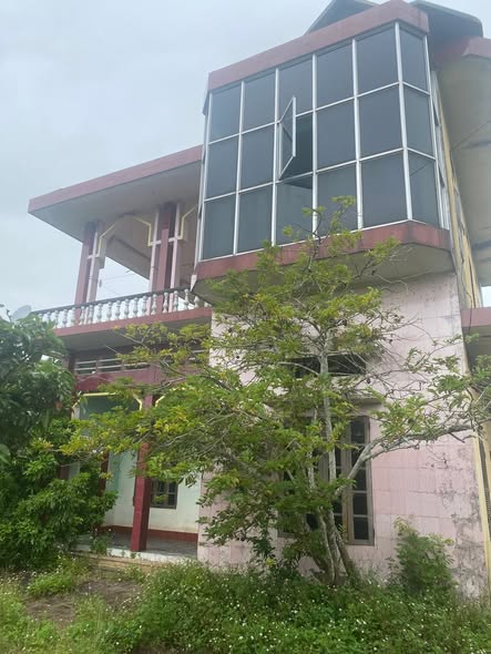 Mảnh vườn 3 mẫu tại Phương Sơn, Bắc Giang - Nhà 2 tầng, giá thỏa thuận!