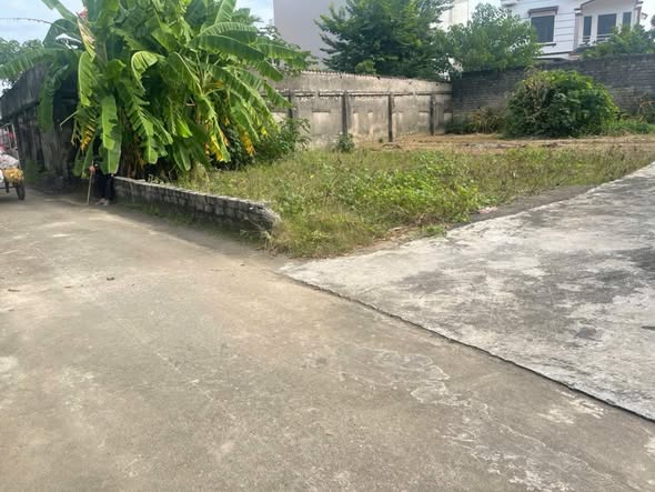 Lô đất thổ cư 200m² tại Danh Thắng, Hiệp Hòa - Cơ hội đầu tư vàng!