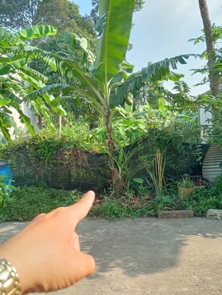 Đất nền Trảng Bom Đồng Nai 115m² giá 1 tỷ - Sổ đỏ chính chủ, mặt tiền đường thông thoáng!