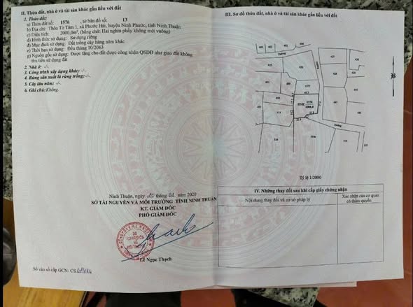 Đất nền 2 sào tại thôn Từ Tâm 1, Ninh Phước - Giá chỉ 720 triệu