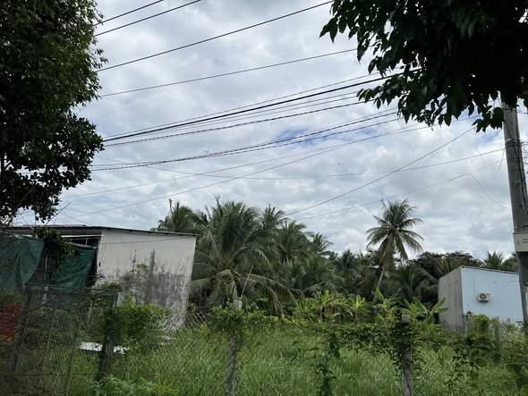 Đất mặt tiền đường Huỳnh Tấn Phát, xã An Phước, 533m² giá 7.4 tỷ - Cơ hội đầu tư sinh lời!