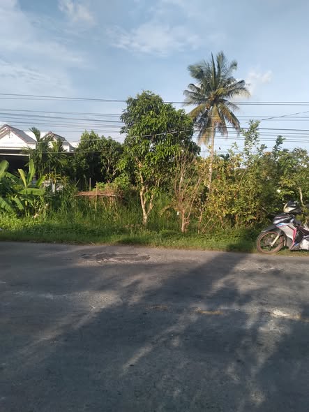 Đất nền mặt tiền Quốc lộ Nam Sông Hậu, 240m² giá 1.04 tỷ - Đầu tư sinh lời ngay!