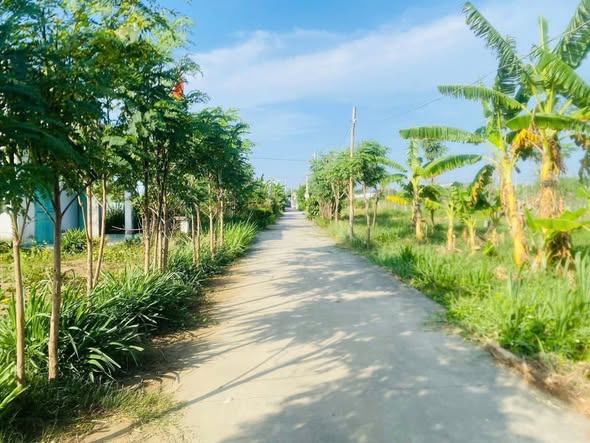 Bán đất nền chính chủ 115m² tại phường Long Thuận - Giá chỉ 370 triệu!