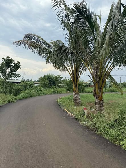 Đất nền Long Tân, Đất Đỏ 135m² giá 550 triệu - Mặt tiền nhựa, sổ hồng chính chủ!