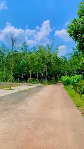 Đất Minh Thành Chơn Thành 210m² giá 200 triệu - Tặng nhà chính chủ!